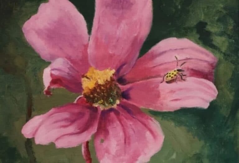 A painting of a pink flower with a bug on one of the pedals by Carol Hamilton.